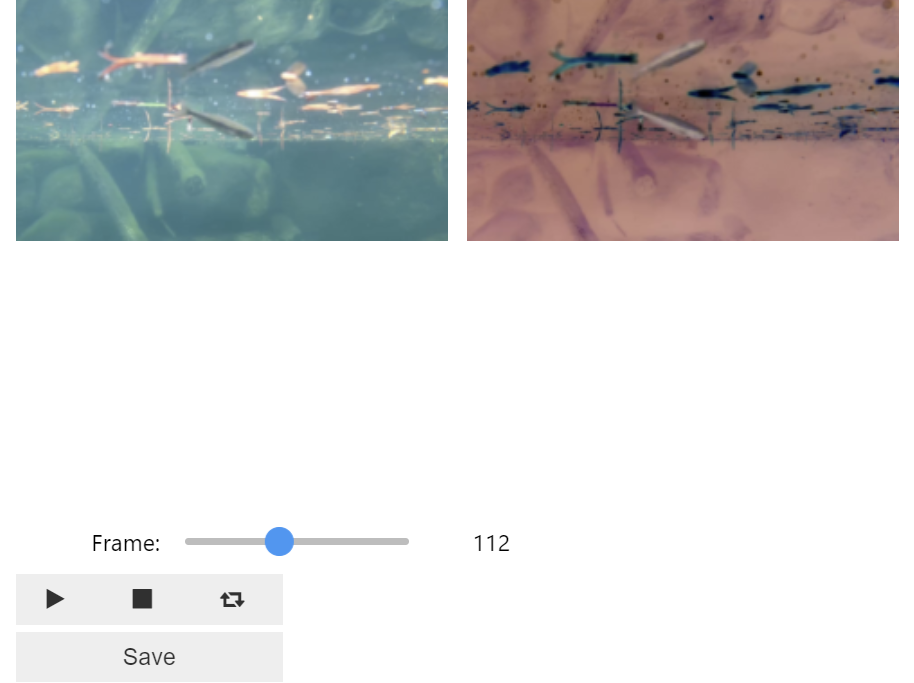 Side by side video with playback controls